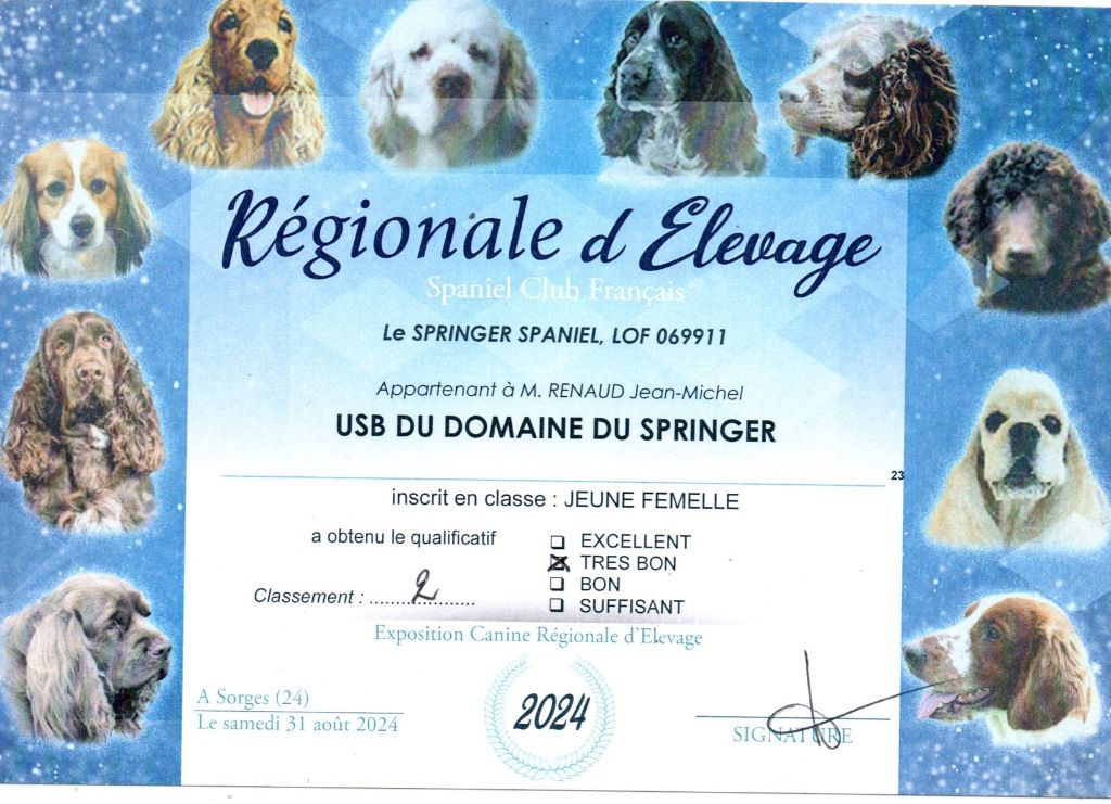 Usb Du Domaine Du Springer