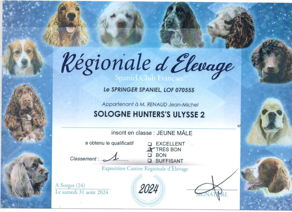 Ulysse 2 Sologne Hunters's