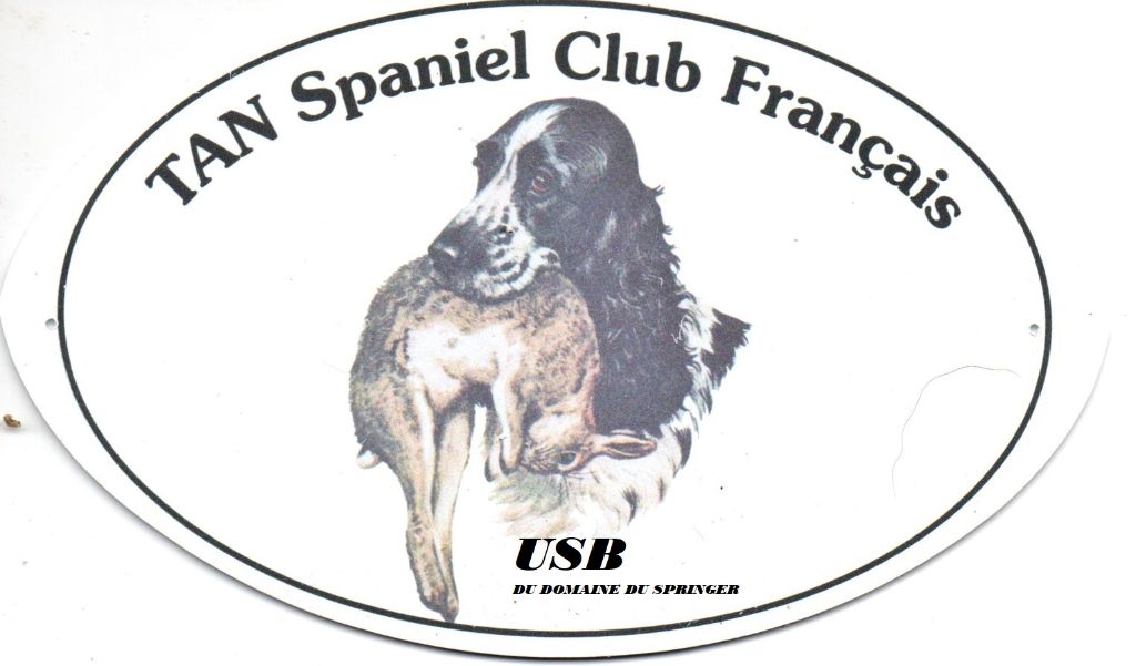 Usb Du Domaine Du Springer