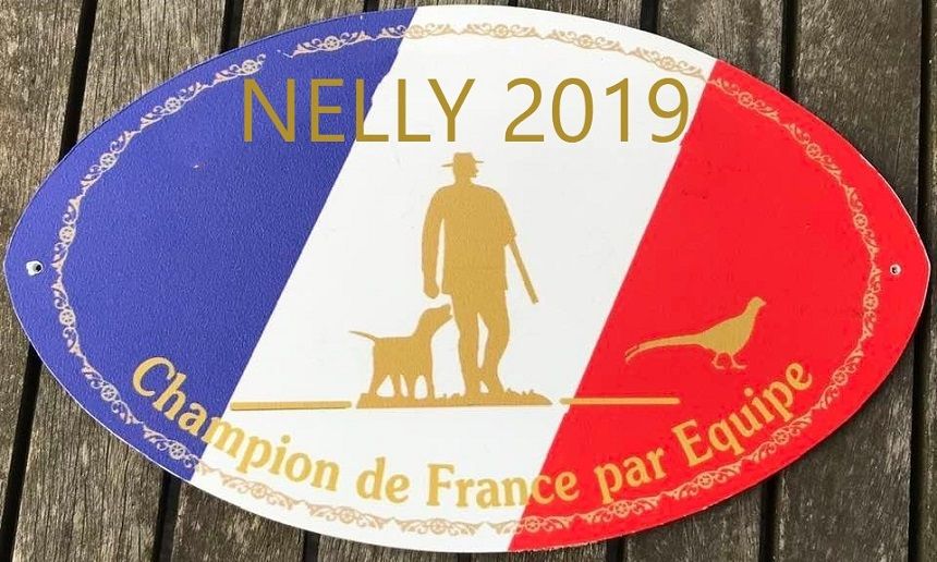 TR. Nelly (Sans Affixe)