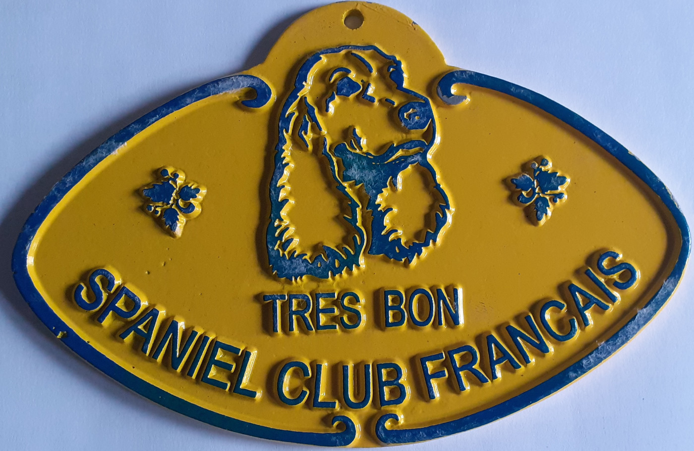 Du Domaine Du Springer - coupe de france 2025