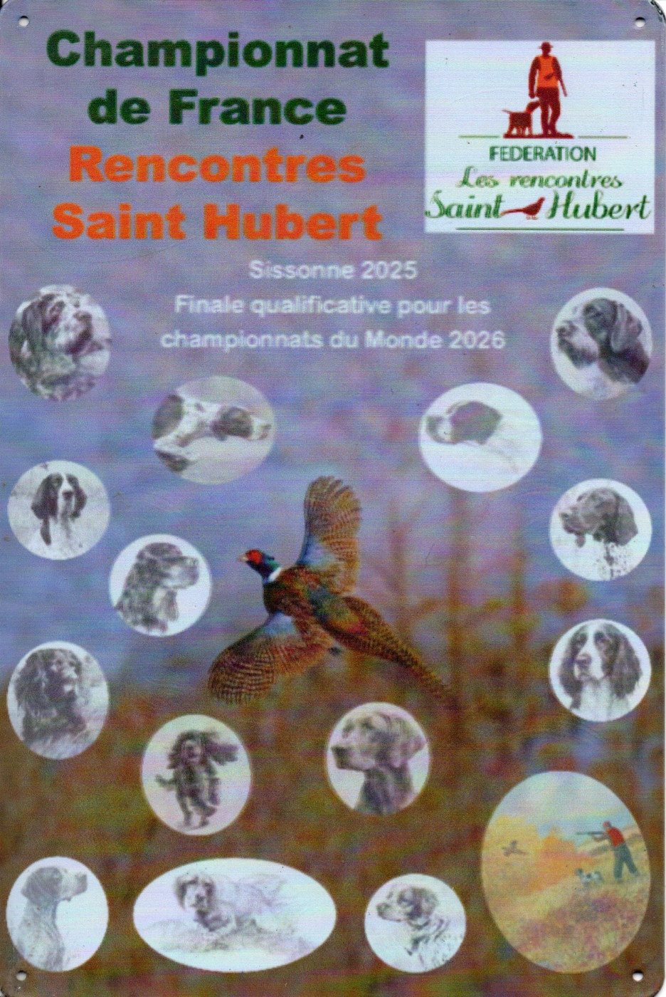 final national st hubert