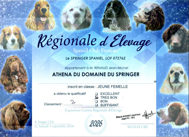 tb R.E SPANIEL